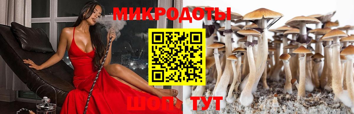 Галлюциногенные грибы GOLDEN TEACHER  Вход с VPN  Алатырь 